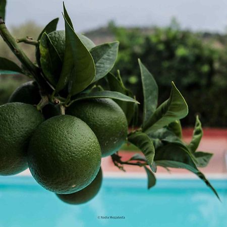 Il Casale Il Sole E La Margherita Campofelice Di Roccella Ngoại thất bức ảnh