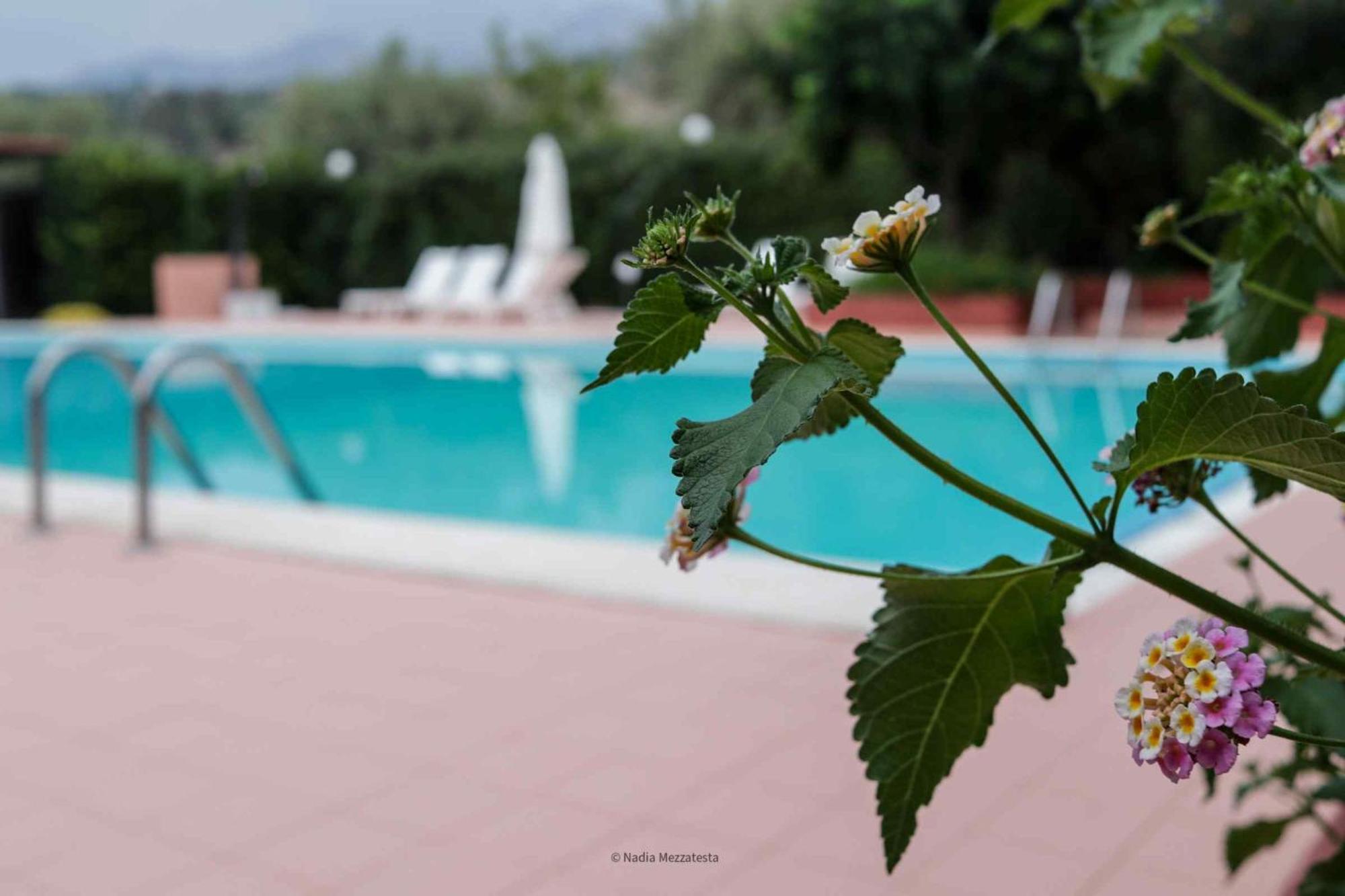 Il Casale Il Sole E La Margherita Campofelice Di Roccella Ngoại thất bức ảnh
