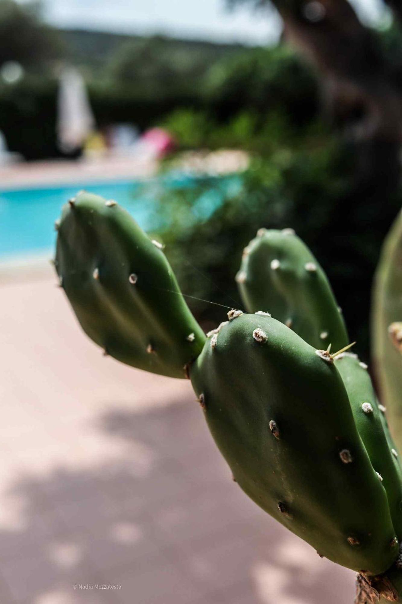 Il Casale Il Sole E La Margherita Campofelice Di Roccella Ngoại thất bức ảnh