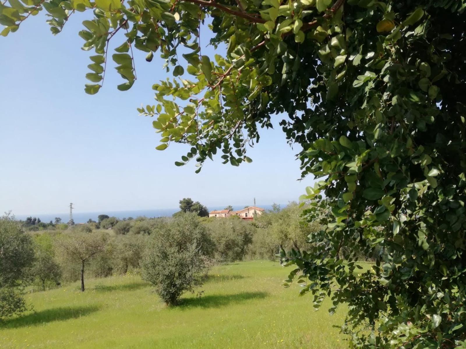 Il Casale Il Sole E La Margherita Campofelice Di Roccella Ngoại thất bức ảnh